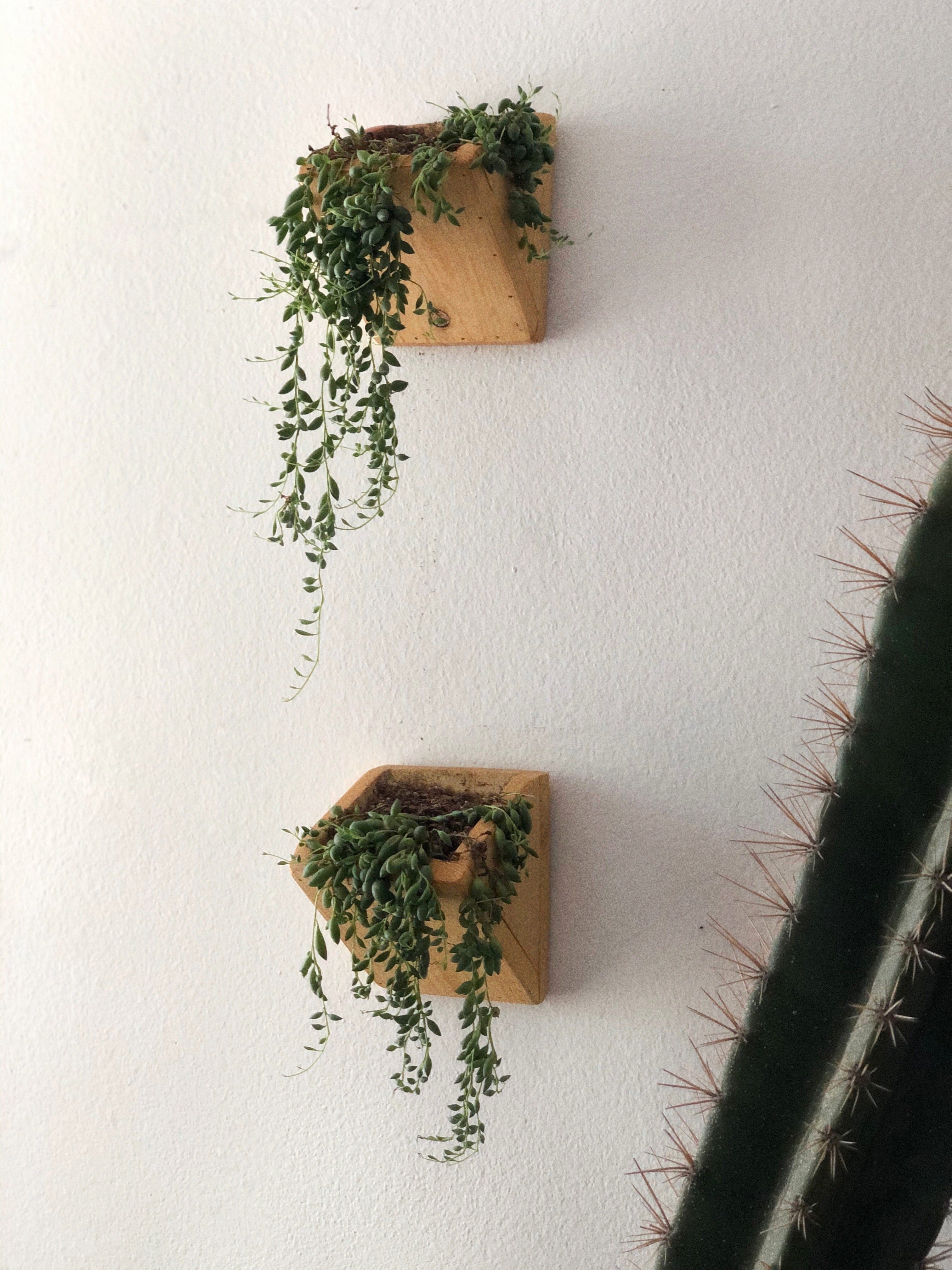 Handmade Cedar Wood Wall Planters (Set of Two)