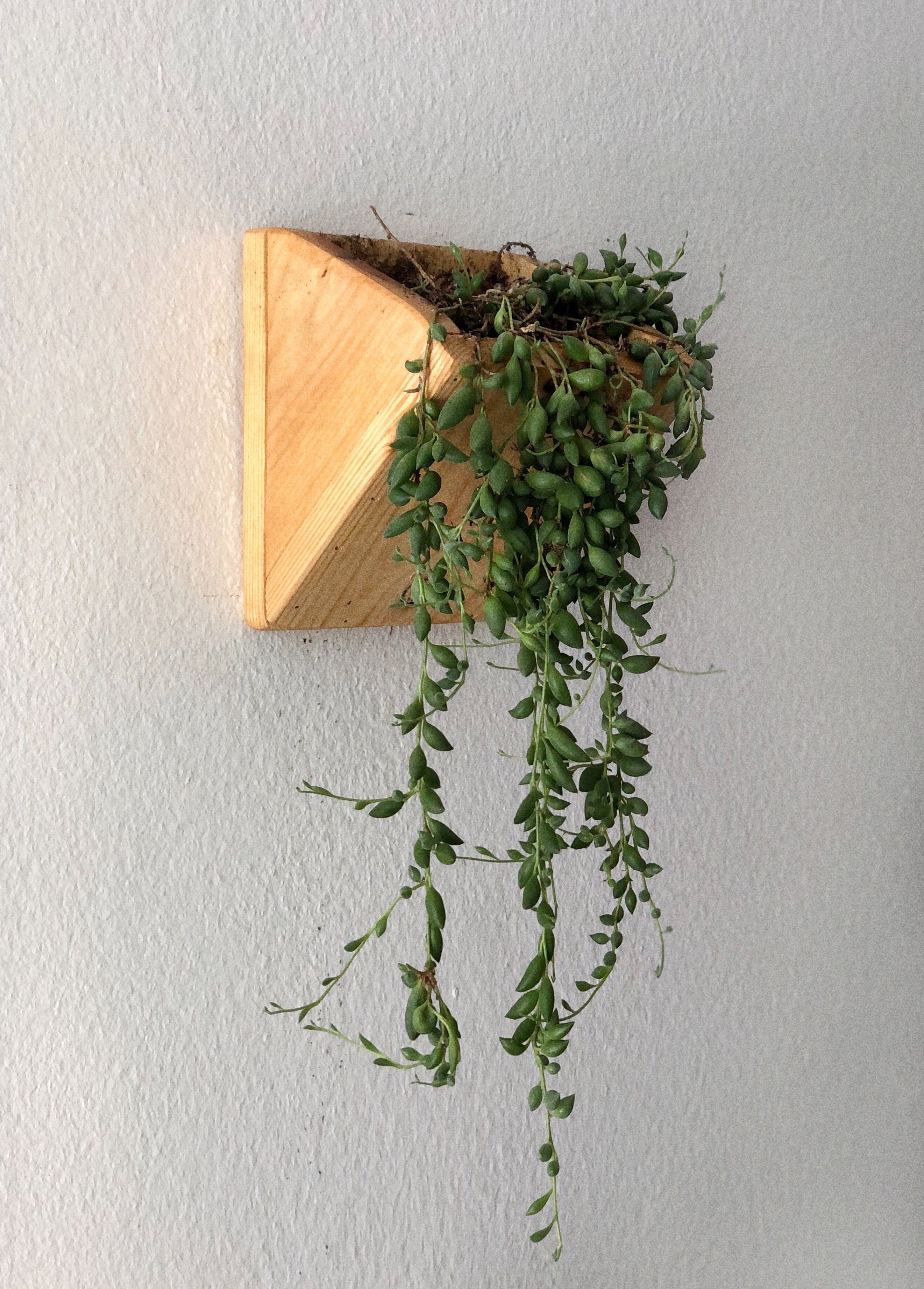 Handmade Cedar Wood Wall Planters (Set of Two)