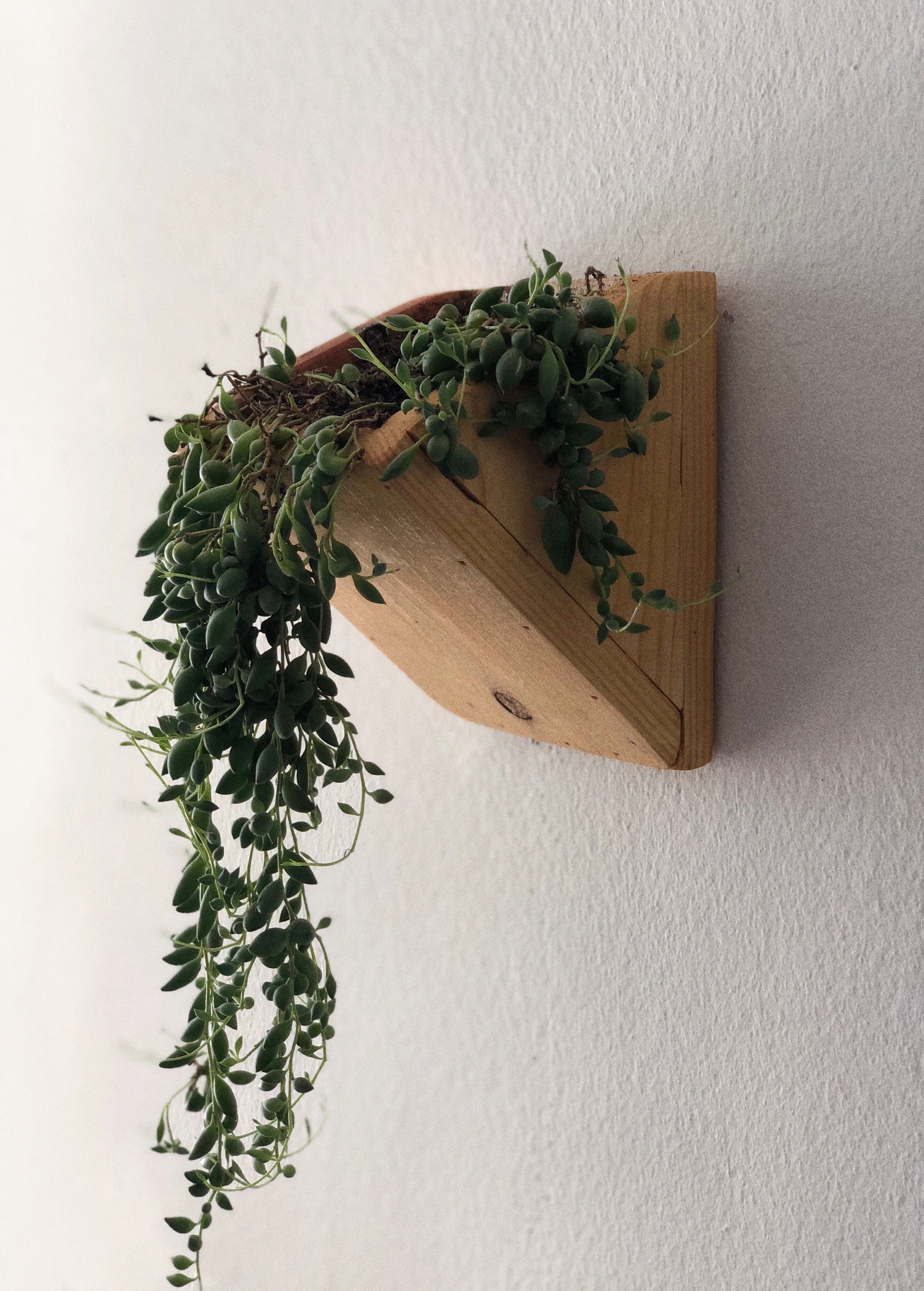 cedar hanging planter Handmade Cedar Wood Wall Planters (Set of Two) – The American Furniture Company