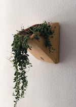 Handmade Cedar Wood Wall Planters (Set of Two)