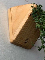 Handmade Cedar Wood Wall Planters (Set of Two)