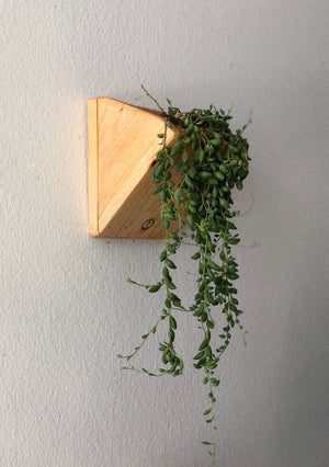 Handmade Cedar Wood Wall Planters (Set of Two)